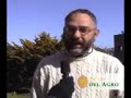 Las oportunidades que la economia mundial plantea al sector