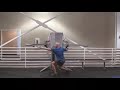 the hibner.wmv