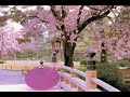 Traeme la Primavera (Recitado)