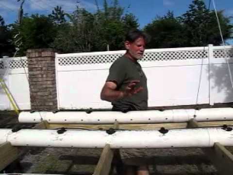 how to grow plants in pvc pipe