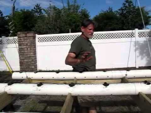 how to grow vegetables in pvc pipe
