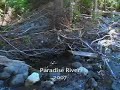 Wonderland Trail: Update Sep 2007 Part IV