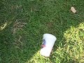 Bye Bye Cup