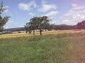 2008_07_08