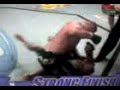 power punch by brock sending captain america down and out