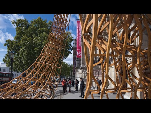 Assembling the Timber Wave