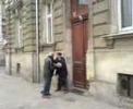 seniors street fight seniors street fight