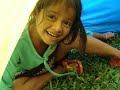 cambodia mission trip  phnom phen