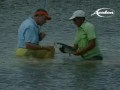 Cuban Fishing Centers (Avalon)