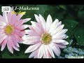 Allahova imena