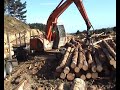 carting logs carting logs