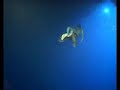 perfect harmony - apnoe - freediving