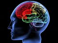Super Brain Wave (Theta Wave).wmv