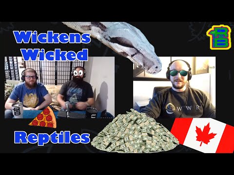 YouTube reptile video