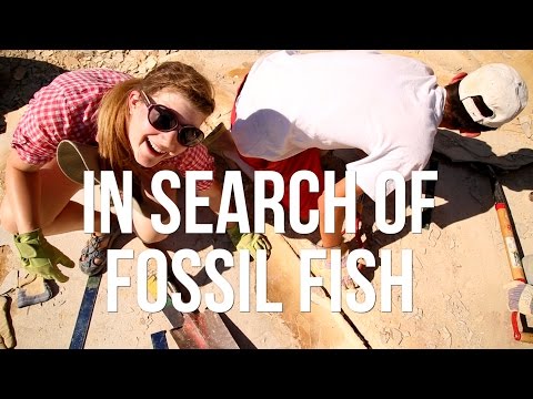 In search of Fossil Fish