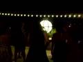 It's Raining Men .. DeNardo/Gold wedding