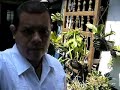 Orqu�deas y bons�is
