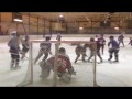 The Hockeytrophysong