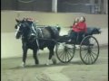 Horses with Santa 12-14.wmv