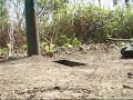 Tamiya Jagtpanther und der Sch�tzengraben