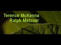 McKenna & Metzner Pt.13