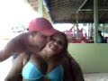 barc