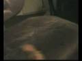 videos de Skylar the Crested Gecko