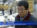 Click here to watch this video Larangan Penangkapan Tuna, Tantangan Bagi Jepang