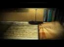 Fasc�culos Gazeta 2008