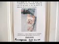 Help Locate This Lost Puppy!