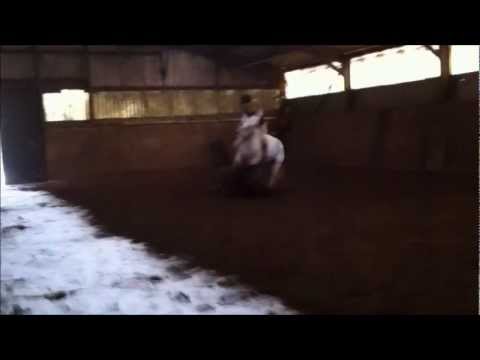 horses grand national