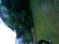 videos de Judith u Vicky dissen Jessy