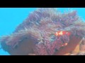 merveilleux voyage en 3D
