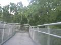 Southern Ridges - Waves Arch Run - Part 2 of 2 (Forest Walk and Alexandra Arch) by market2garden