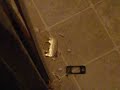 My Apartment to Broken into...