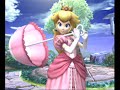 Super Smash Bros Brawl Characters The Remake