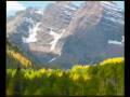 Aspen in the Fall