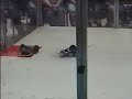Upstate NY Robot Battle V Highlights