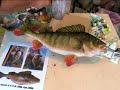 Painting a stuffed Perch in Acrylics