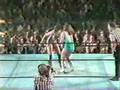 Tribute to Pro Lady Wrestlers