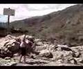 Un salto doble Un salto doble