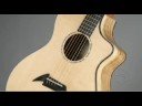 Breedlove Custom Shop Guitars - Audio/Visual Presentation Breedlove Custom Shop Guitars - Audio/Visual Presentation