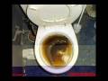 videos de critica al mac donalds (loquendo)
