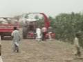 Forage Harvester - Fimaks