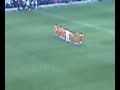 Galatasaray vs Kayserispor 8