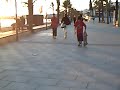 roses sk8