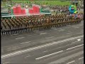 Domino Soldiers