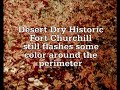 Autumn in Lahontan Valley