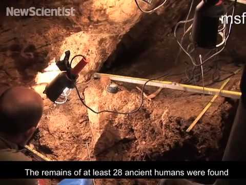 Pit of bones hides our oldest DNA