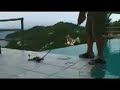 Pet Peeve: Golfing (Ass)Hole-in-One